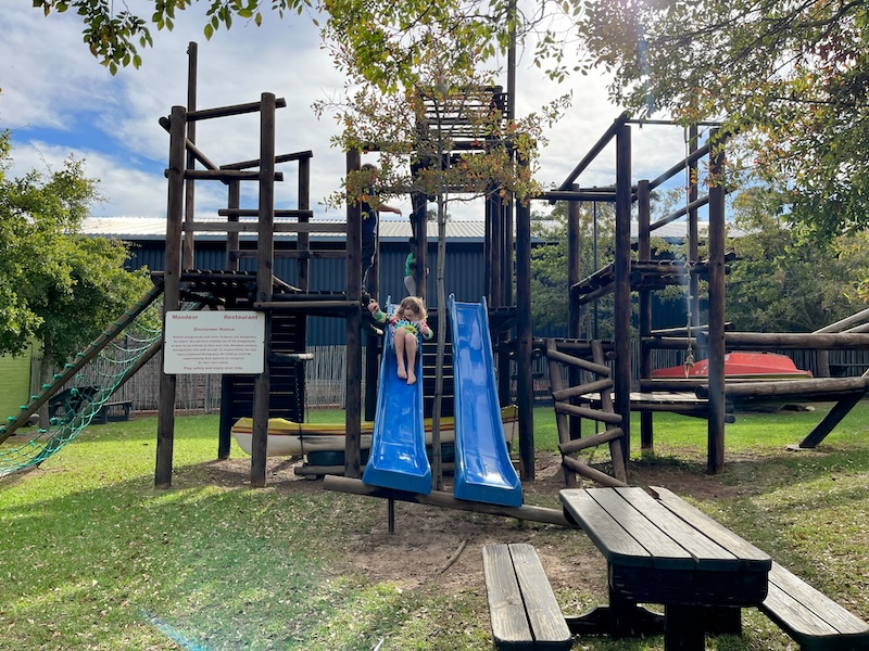 Mondeor Jungle Gym with two blue slides